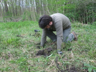 Planting in progress